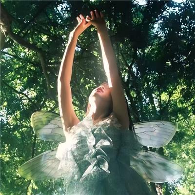 外科医生马丁 第四季